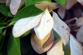 华体会登录入口-法甲防守阵型转换与对手控球比变化的动态关系研究，法国足球防守型中场