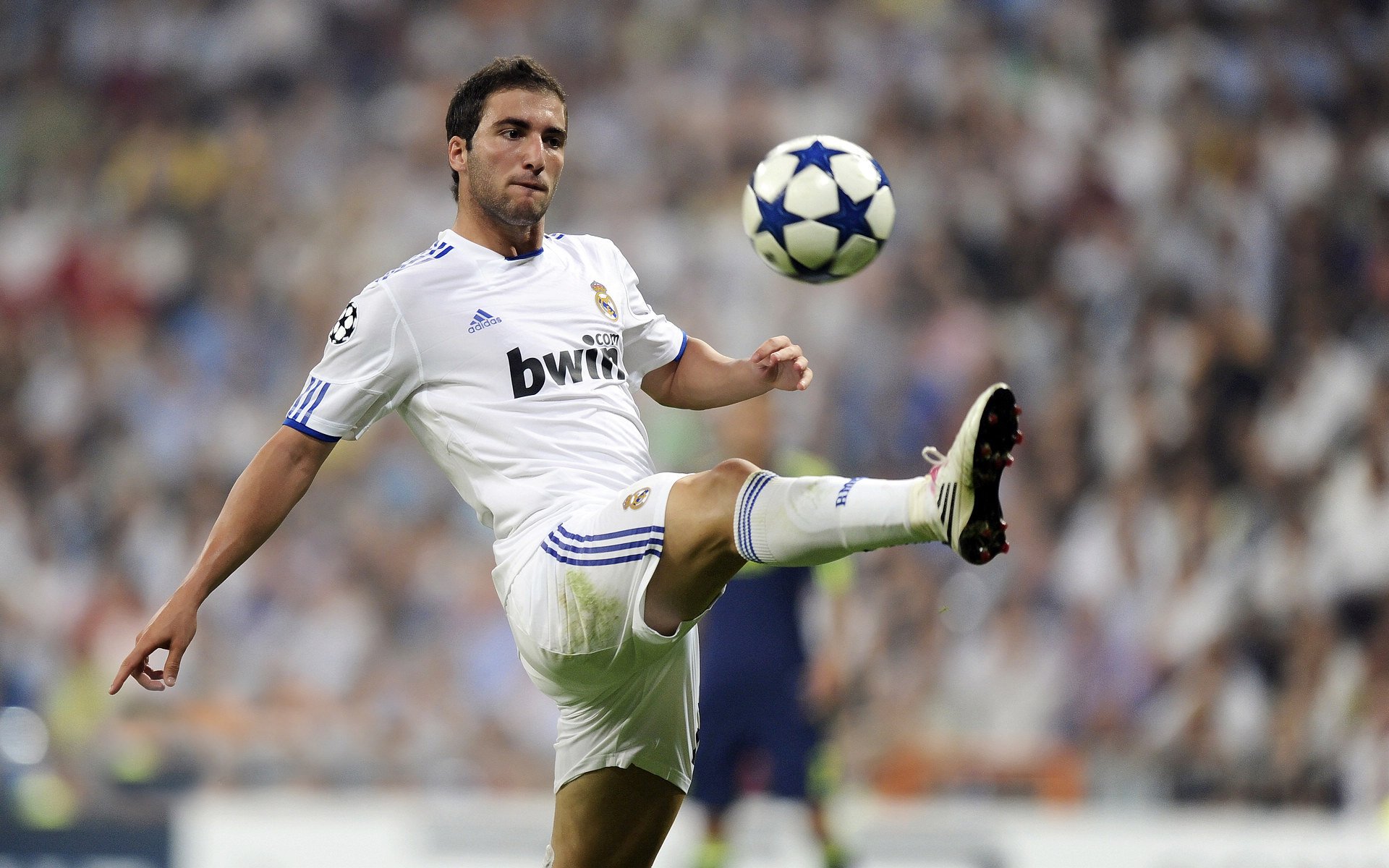 世界杯备战:日本队开放训练吸引大量当地球迷 现场教学礼仪体操